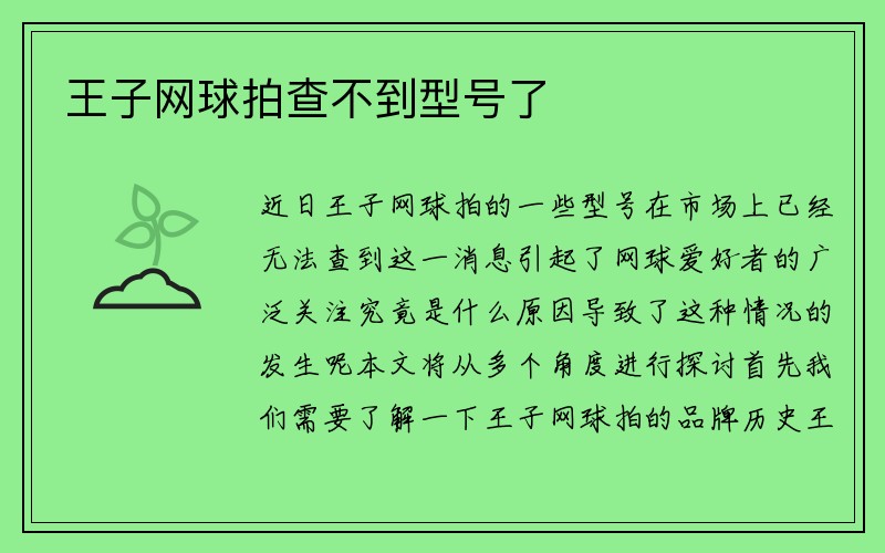 王子网球拍查不到型号了