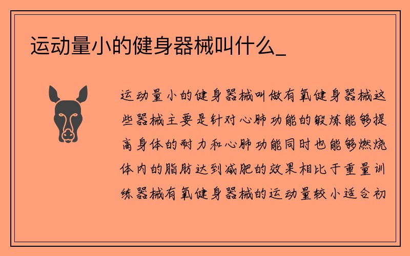 运动量小的健身器械叫什么_