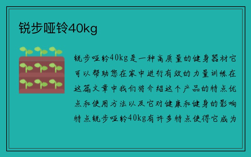 锐步哑铃40kg