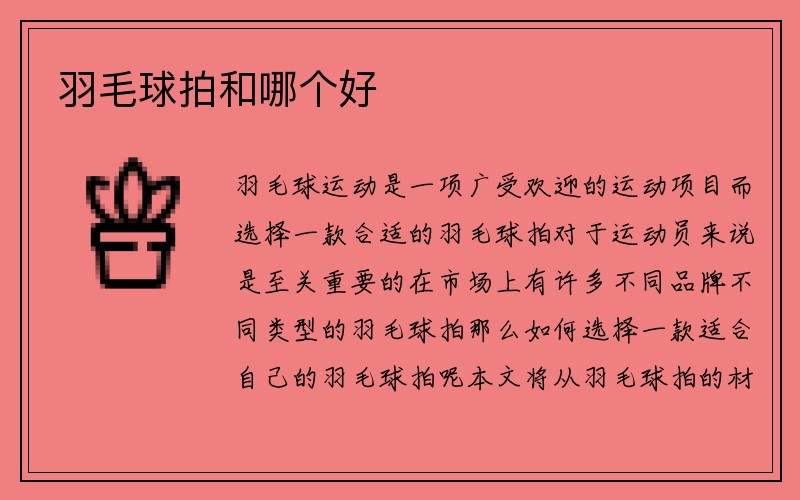 羽毛球拍和哪个好