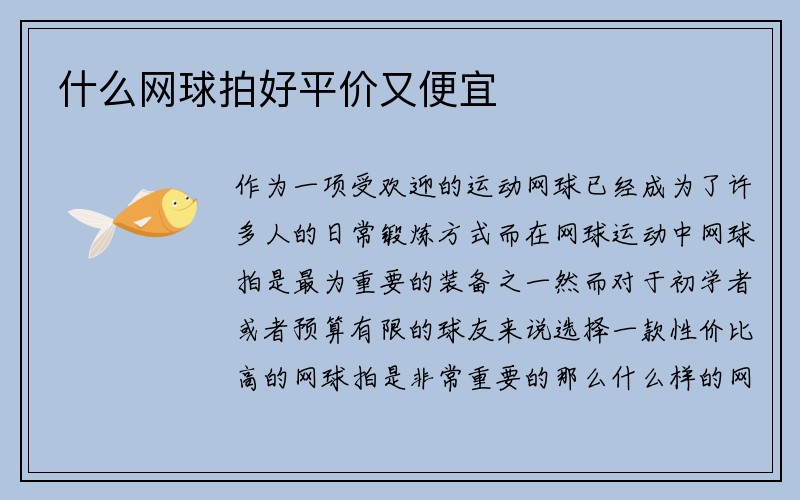 什么网球拍好平价又便宜