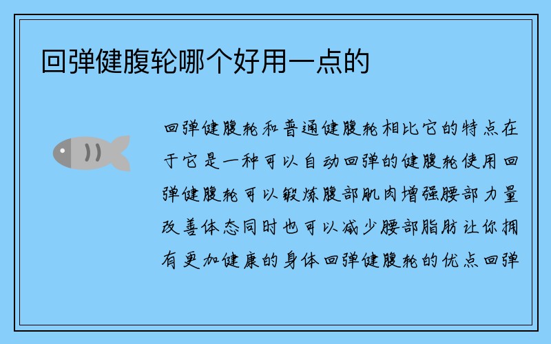 回弹健腹轮哪个好用一点的