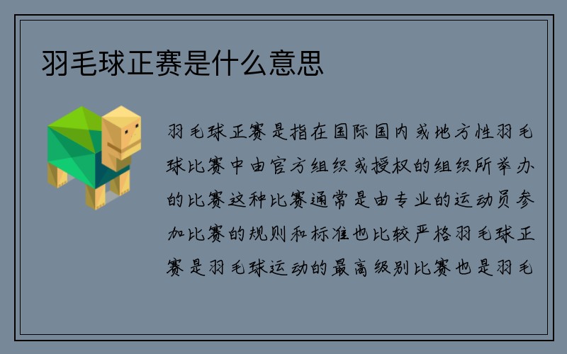 羽毛球正赛是什么意思